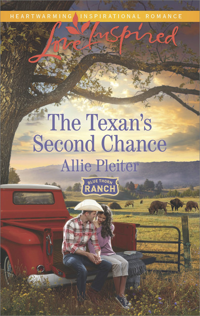 The Texan's Second Chance, Allie Pleiter