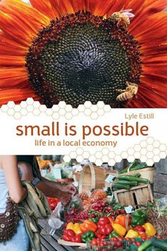 Small is Possible, Lyle Estill