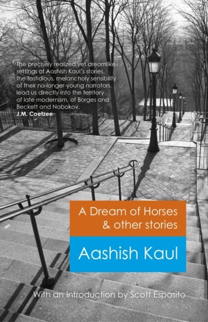 Dream of Horses & Other Stories, Aashish Kaul