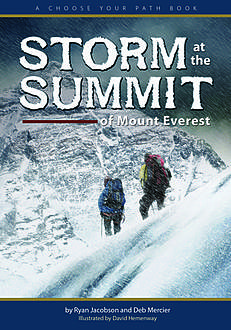 Storm at the Summit of Mount Everest, Ryan Jacobson, Deb Mercier