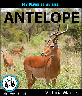 My Favorite Animal: Antelope: Antelope, Victoria Marcos