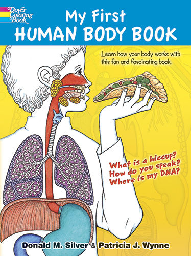 My First Human Body Book, Donald M.Silver, Patricia J.Wynne
