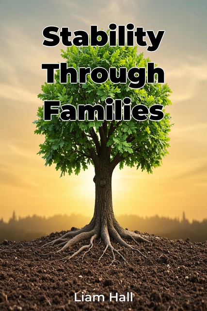 Stability Through Families, Liam Hall