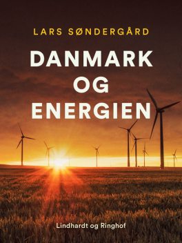 Danmark og energien, Lars Søndergård