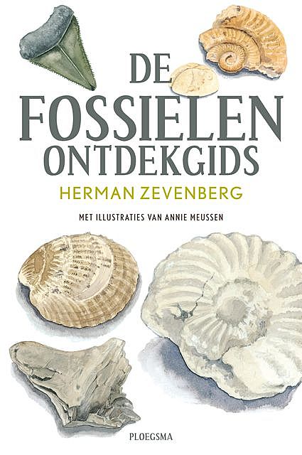 De fossielen ontdekgids, Herman Zevenberg