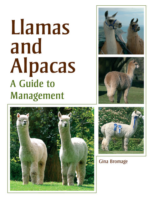 Llamas and Alpacas, Gina Bromage