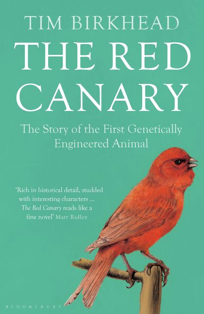 The Red Canary, Tim Birkhead