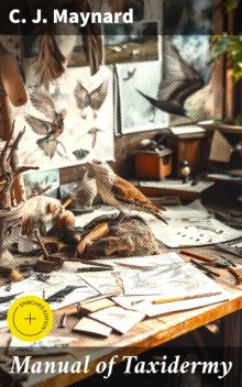 Manual of Taxidermy, C.J. Maynard