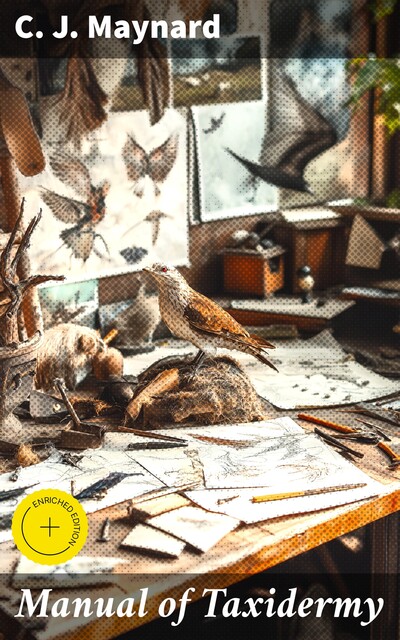 Manual of Taxidermy, C.J. Maynard