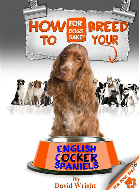 How to Breed your English Cocker Spaniel, David Wright
