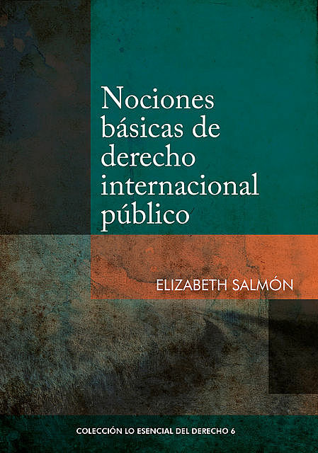 Nociones básicas de derecho internacional público, Elizabeth Salmón