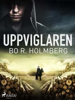 Uppviglaren, Bo R. Holmberg