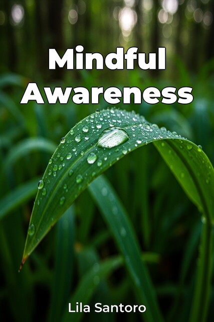 Mindful Awareness, Lila Santoro