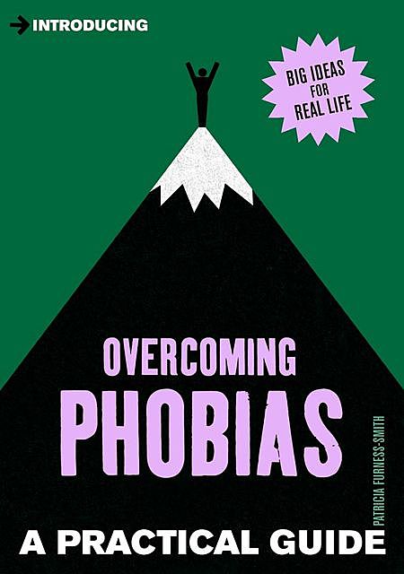 Introducing Phobias: A Practical Guide, Patricia Furness-Smith
