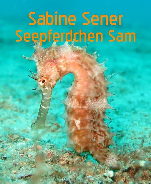 Seepferdchen Sam, Sabine Sener