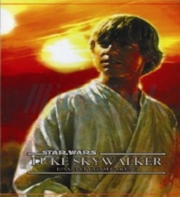 Luke Skywalker, Mathew Stover