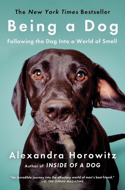 Being a Dog, Alexandra Horowitz