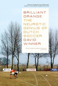 Brilliant Orange, David Winner