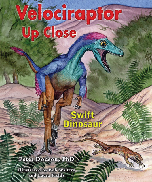 Velociraptor Up Close, Peter Dodson