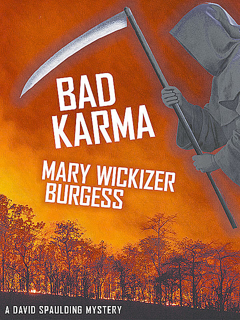 Bad Karma, Mary Wickizer Burgess