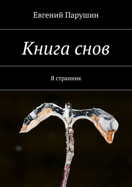 Книга снов, Евгений Парушин