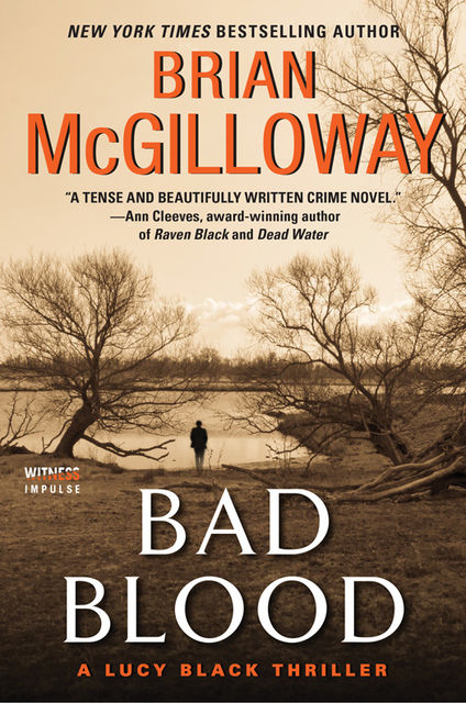 Bad Blood, Brian McGilloway