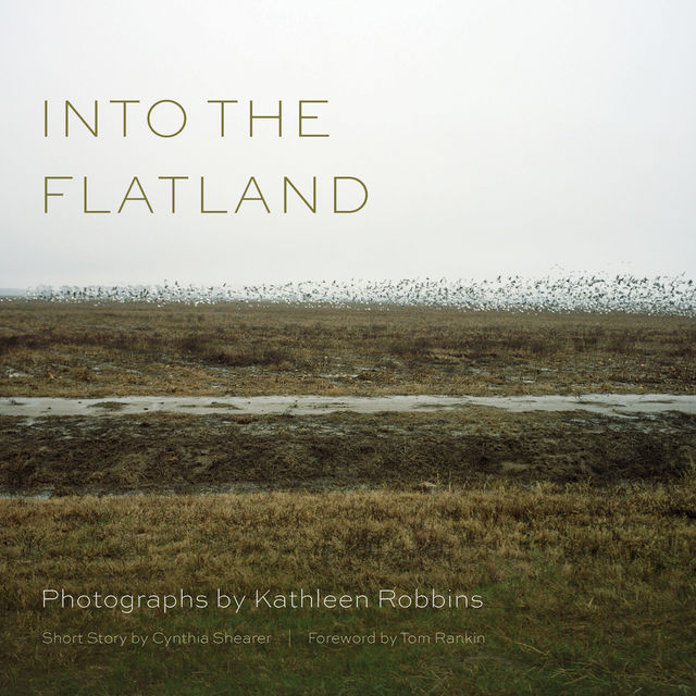 Into the Flatland, Kathleen Robbins