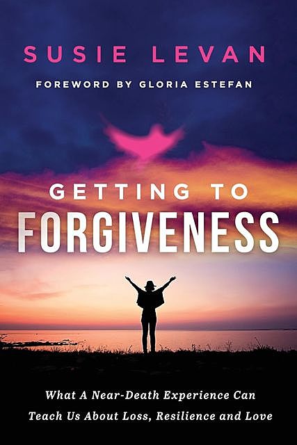 Getting To Forgiveness, Susie Levan