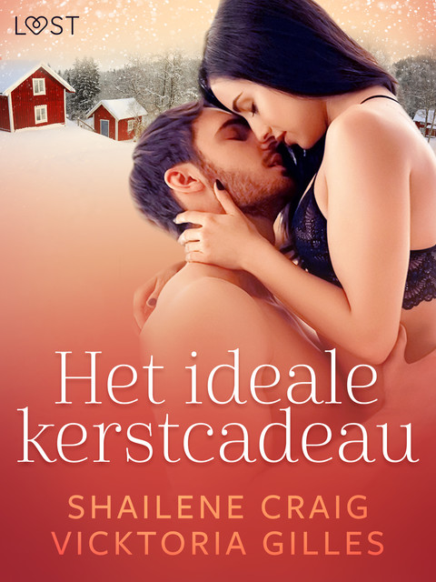 Het ideale kerstcadeau – erotisch kerstverhaal, Vicktoria Gilles, Shailene Craig