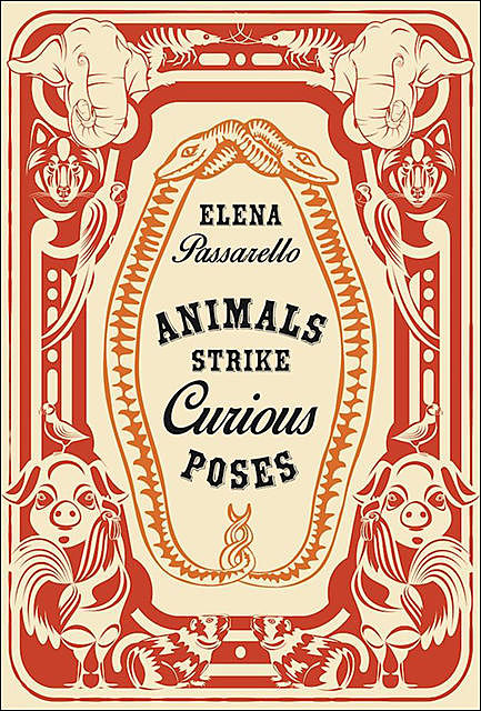 Animals Strike Curious Poses, Elena Passarello