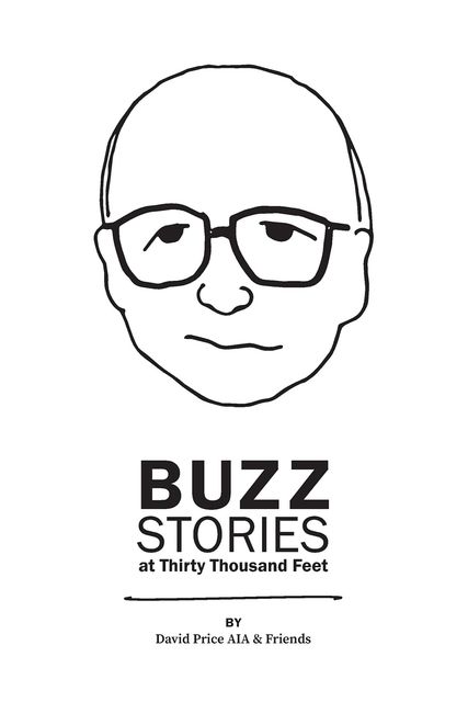Buzz Stories at Thirty Thousand Feet, David C. Price