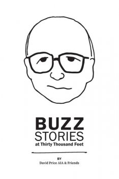 Buzz Stories at Thirty Thousand Feet, David C. Price