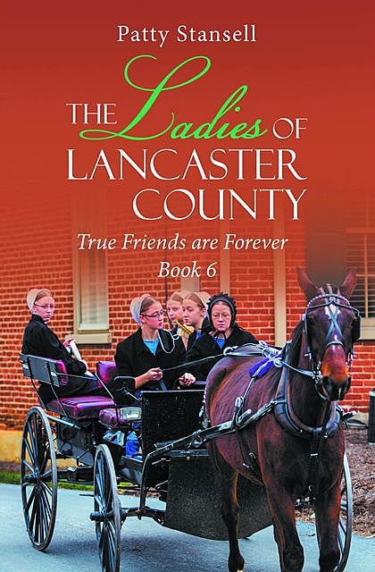 The Ladies of Lancaster County: True Friends are Forever, Patty Stansell