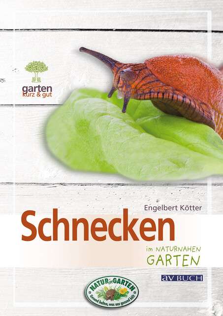 Schnecken, Engelbert Kötter