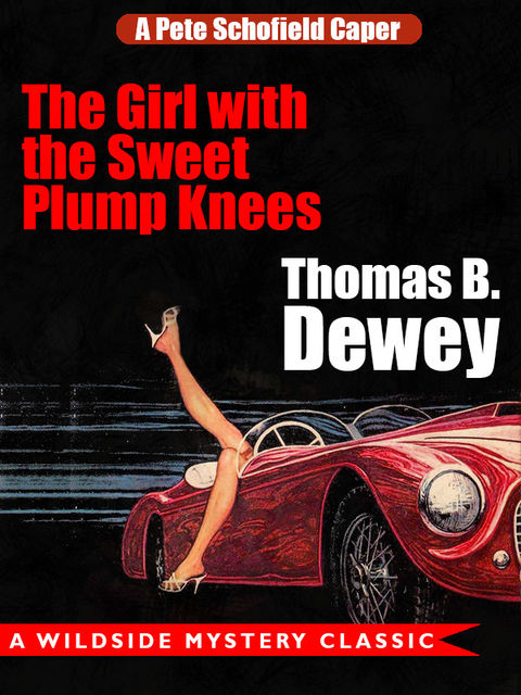 The Girl with the Sweet Plump Knees: A Pete Schofield Caper, Thomas B.Dewey