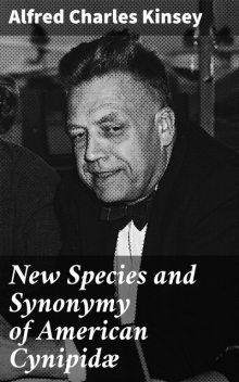 New Species and Synonymy of American Cynipidæ, Alfred Charles Kinsey