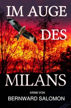 Im Auge des Milans, Bernward Salomon