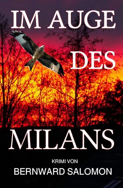 Im Auge des Milans, Bernward Salomon