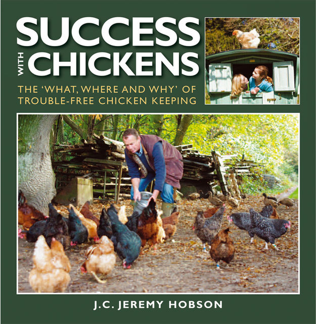 SUCCESS WITH CHICKENS, JEREMY HOBSON