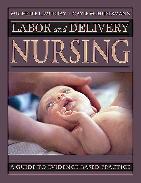Labor and Delivery Nursing, BSN, RNC, Gayle Huelsmann, Michelle Murray