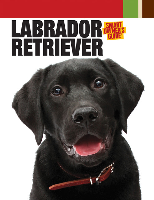 Labrador Retriever, Dog Fancy Magazine