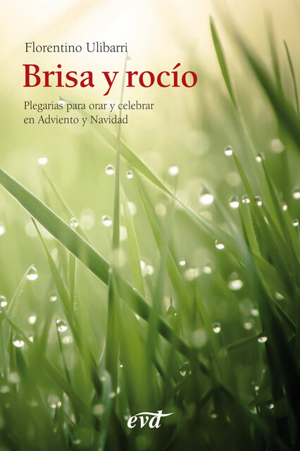 Brisa y rocío, Florentino Fernández