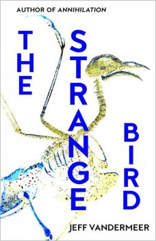 The Strange Bird, Jeff Vandermeer