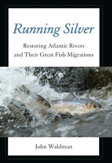 Running Silver, John Waldman