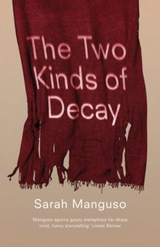 The Two Kinds of Decay, Sarah Manguso