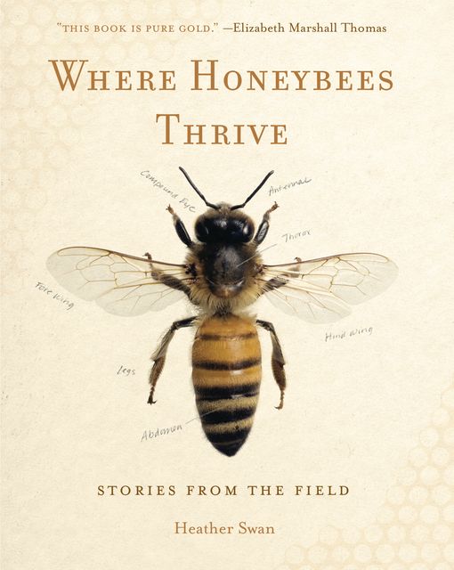 Where Honeybees Thrive, Heather Swan