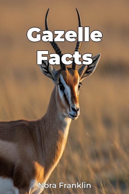 Gazelle Facts, Nora Franklin