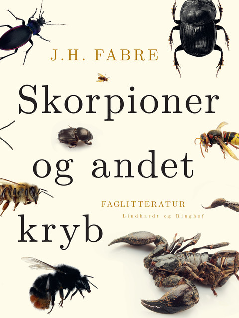Skorpioner og andet kryb, J.H. Fabre