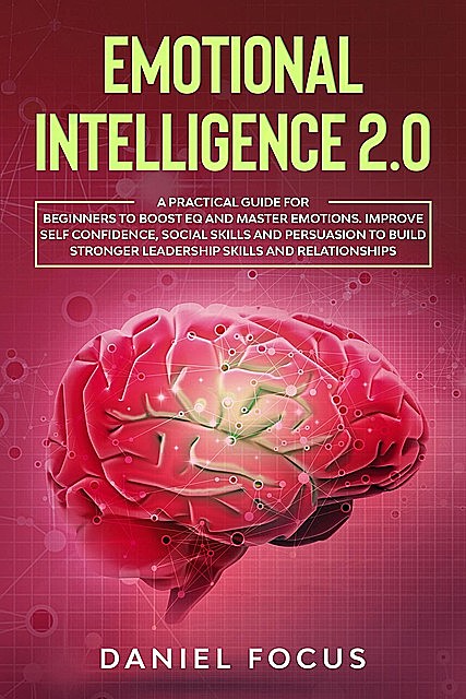 Emotional Intelligence 2.0, Daniel Focus