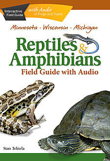 Reptiles & Amphibians of Minnesota, Wisconsin and Michigan Field Guide, Stan Tekiela